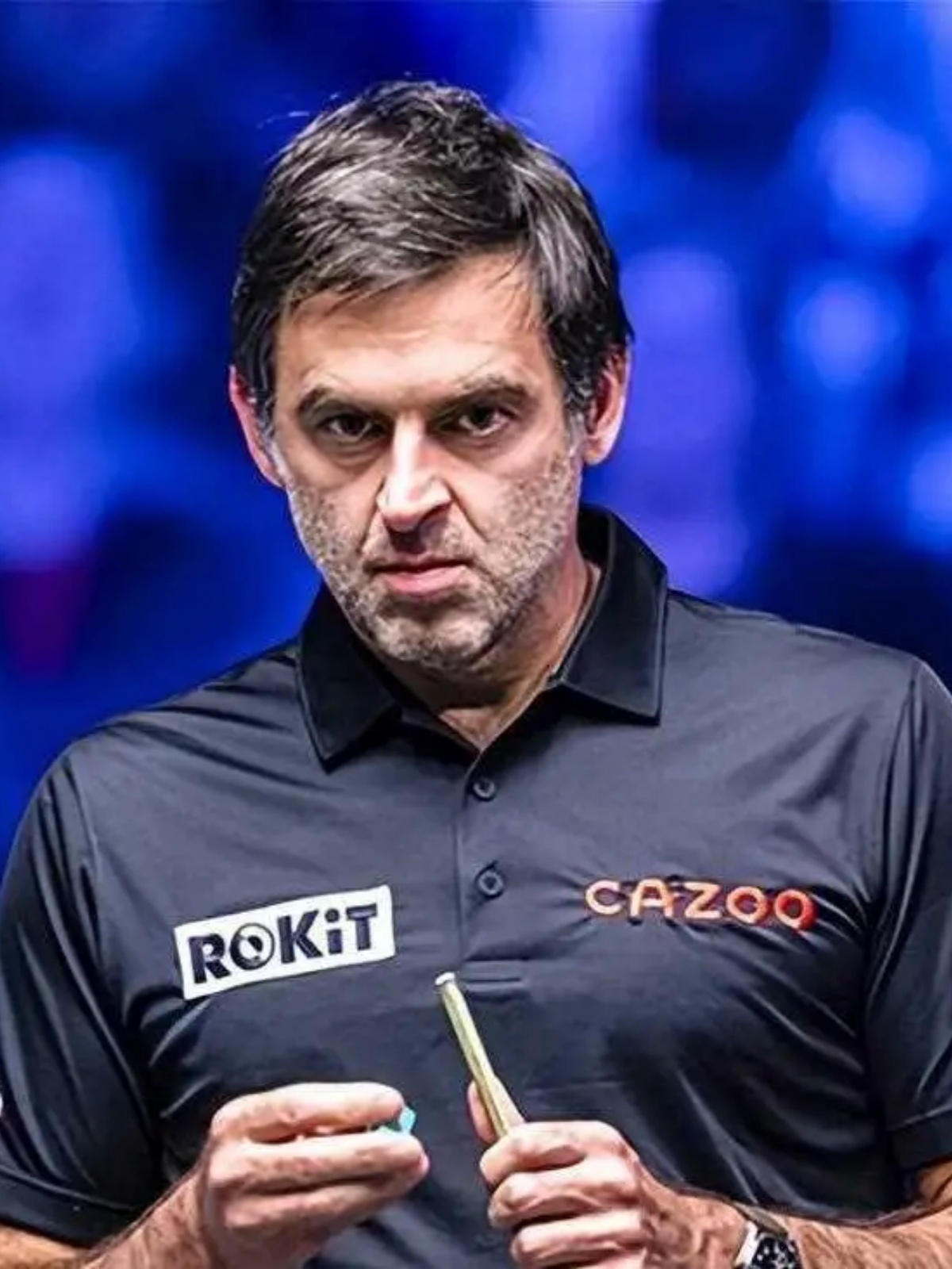 它也意味着 它也意味着