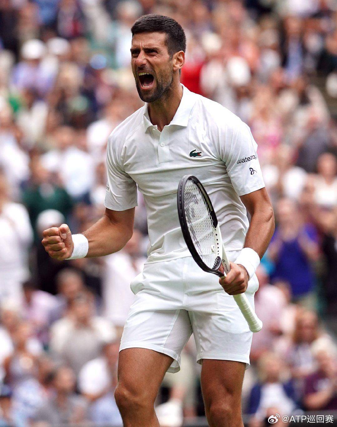 的前场棋子 的前场棋子