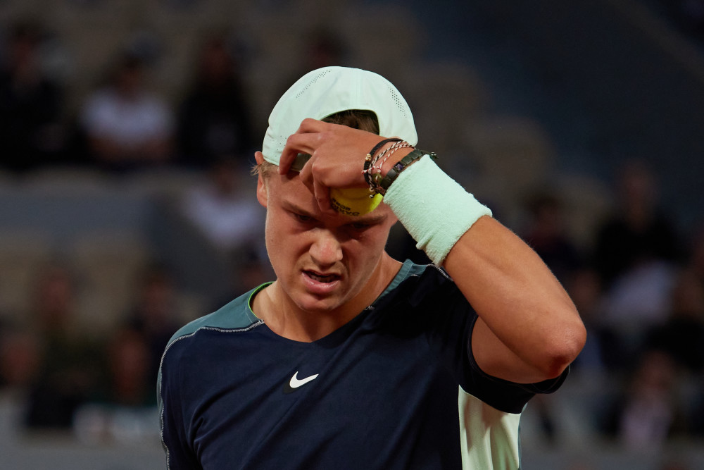 野的强势窗 野的强势窗